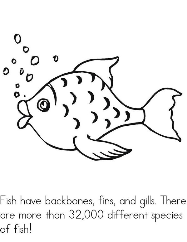 What Makes A Fish A Fish? Mini Book - Sheet 3
