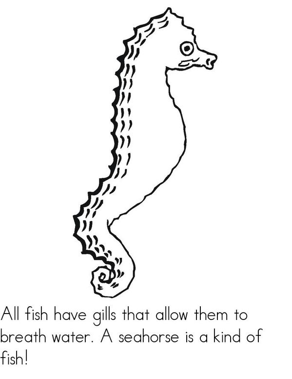 What Makes A Fish A Fish? Mini Book - Sheet 5