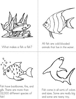 What Makes A Fish A Fish? Book