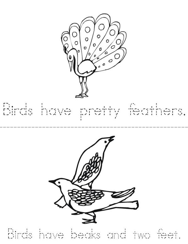 Birds Mini Book - Sheet 2