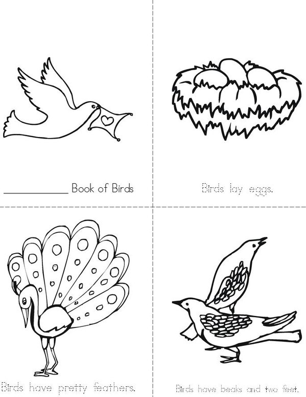 Birds Mini Book - Sheet 1