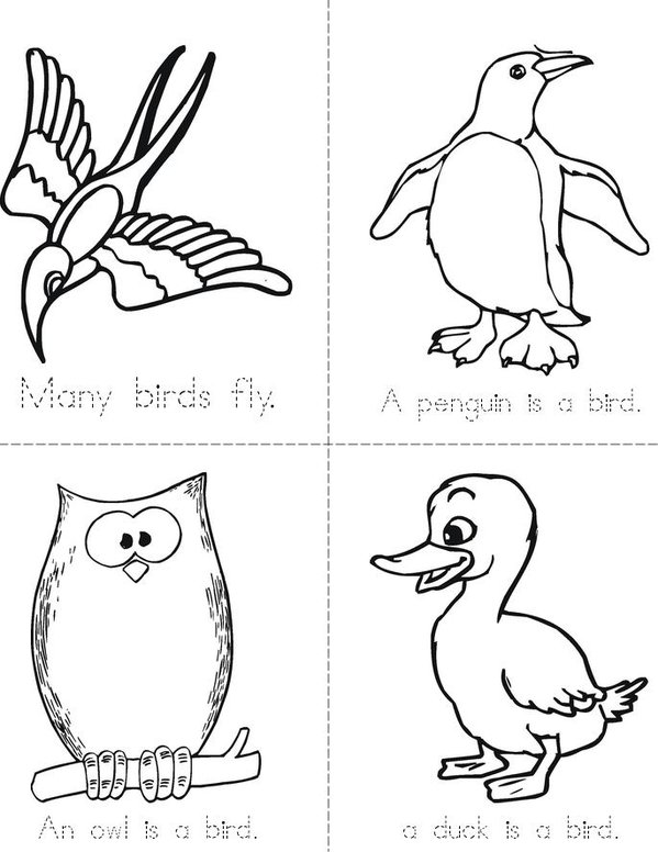 Birds Mini Book - Sheet 2