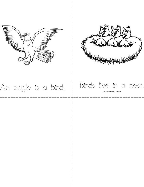 Birds Mini Book - Sheet 3