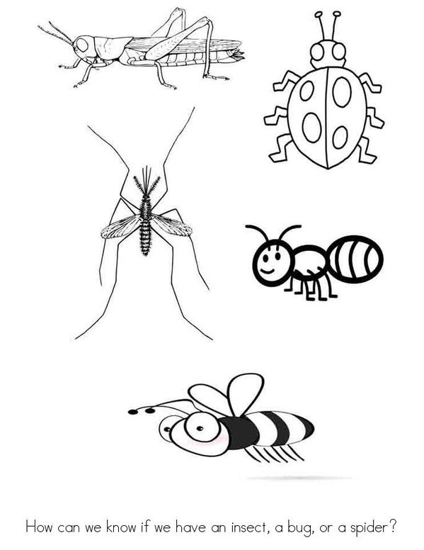 Insects, Bugs, and Spiders Mini Book - Sheet 1