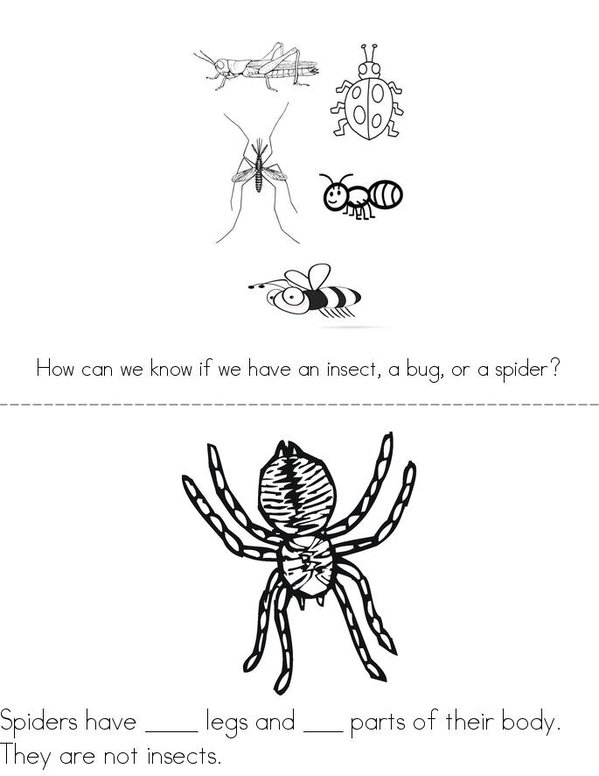 Insects, Bugs, and Spiders Mini Book - Sheet 1