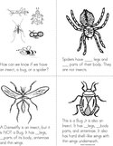 Insects, Bugs, and Spiders Book