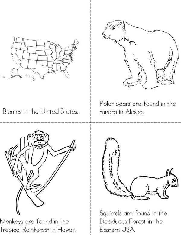 Biomes in the North America Mini Book - Sheet 1