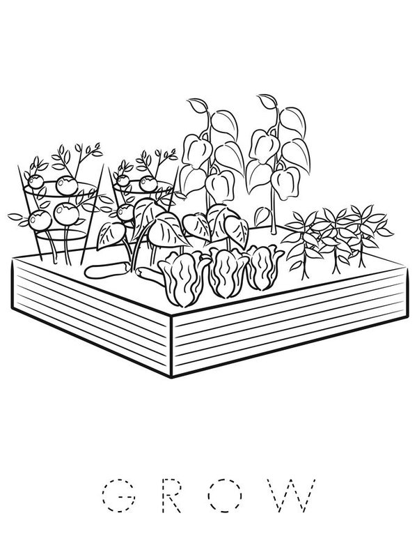 Plant Harvest Book Mini Book - Sheet 9