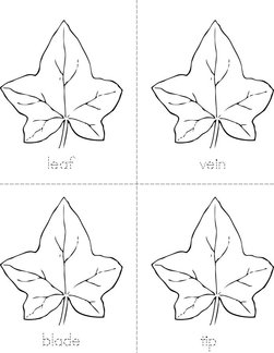 Parts of the Leaf Book