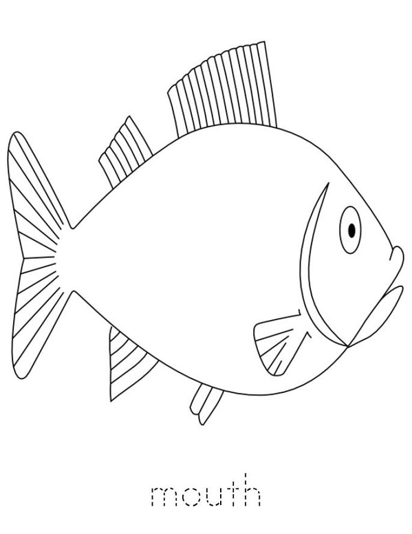 Parts of the Fish Mini Book - Sheet 3