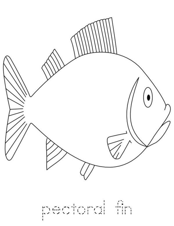 Parts of the Fish Mini Book - Sheet 6