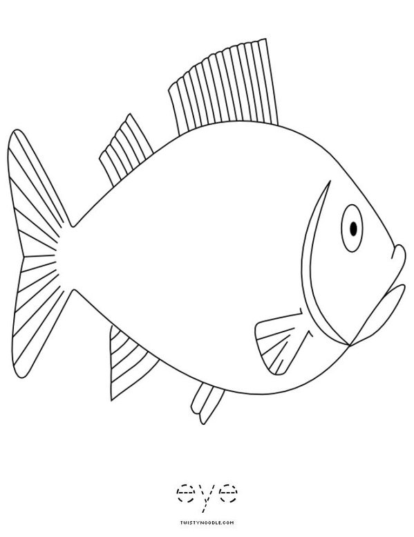 Parts of the Fish Mini Book - Sheet 8