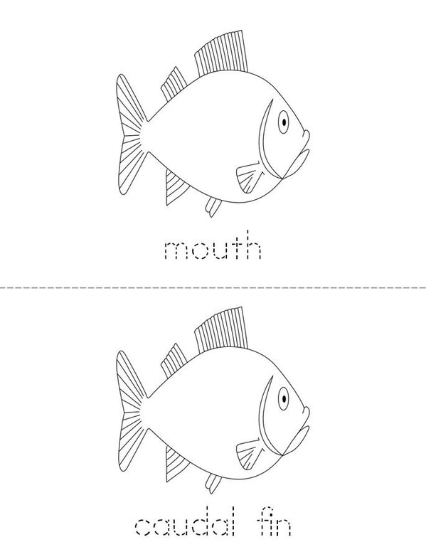 Parts of the Fish Mini Book - Sheet 2