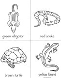 Reptile (colors) Book