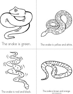 Snake (colors) Book