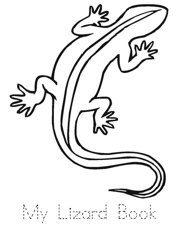 Lizard book Mini Book - Sheet 1