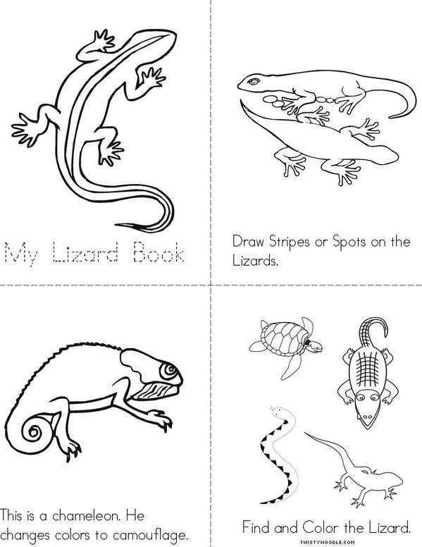 Lizard book - Twisty Noodle