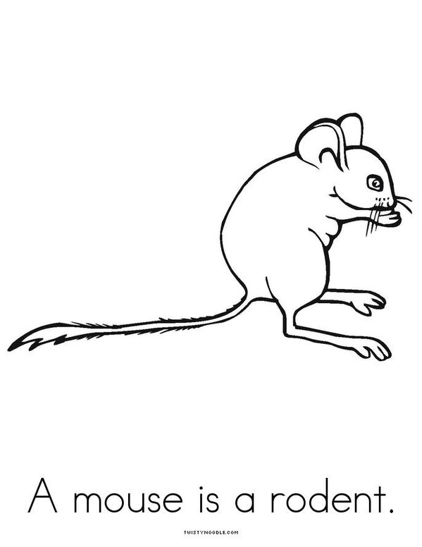 My Book of Rodents Mini Book - Sheet 4