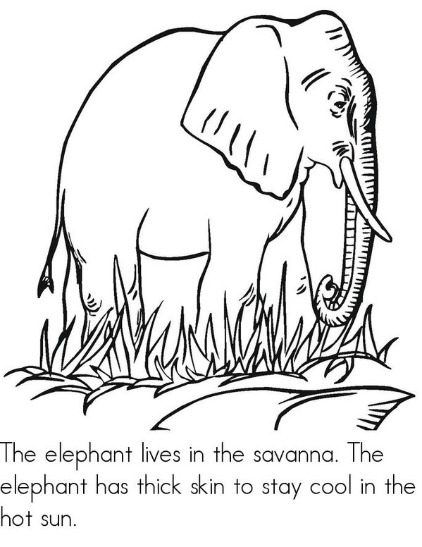 Who Lives in the Savanna? Mini Book - Sheet 4