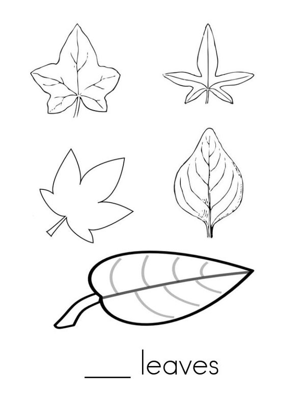 How many leaves? Mini Book - Sheet 3