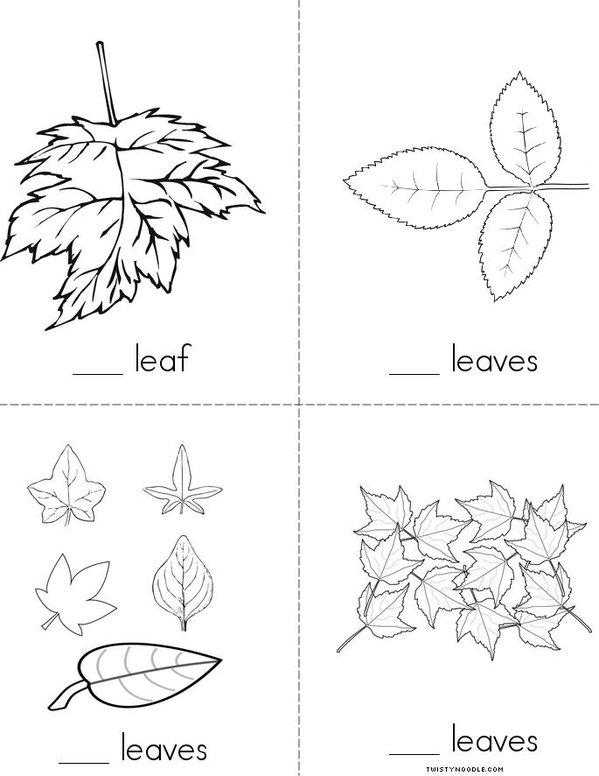 How many leaves? Mini Book