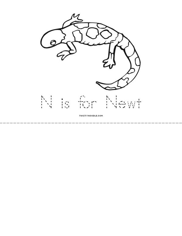 N is for Newt Worksheet - Twisty Noodle Mini Book