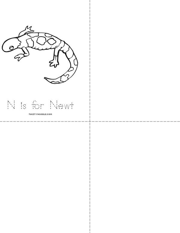 N is for Newt Worksheet - Twisty Noodle Mini Book