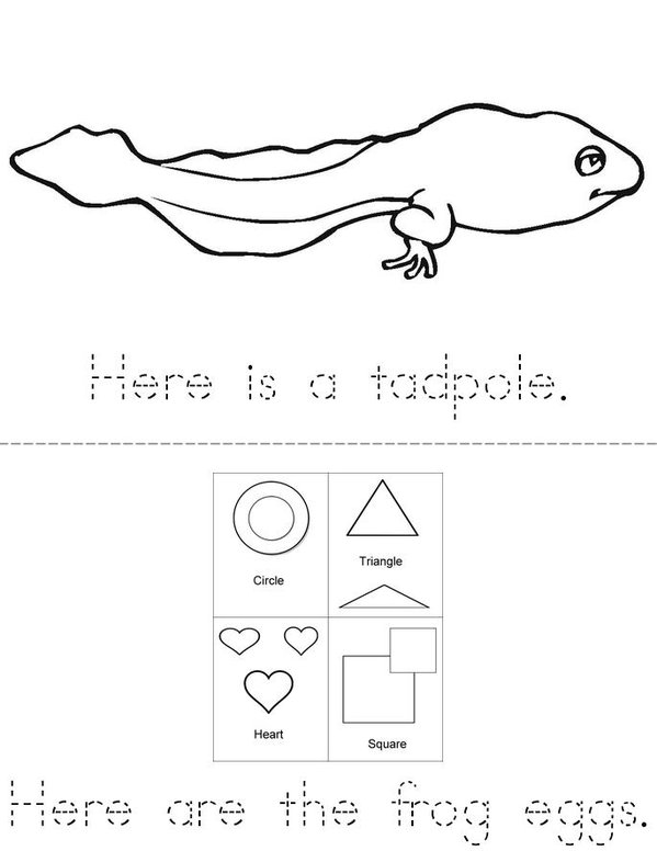 From Tadpole to Frog Mini Book - Sheet 1