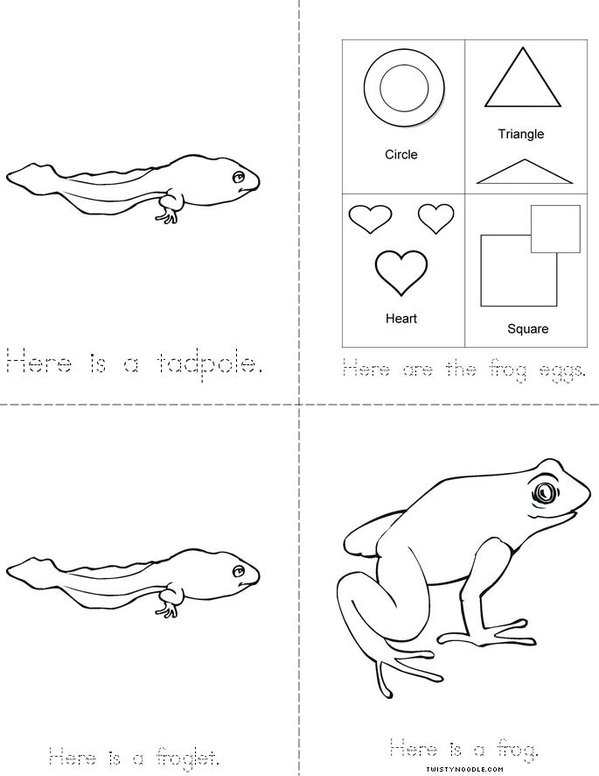 From Tadpole to Frog Mini Book