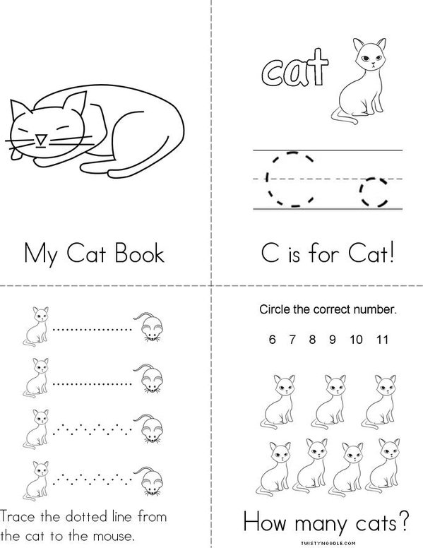 Cat Mini Book