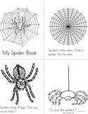 My Spider Book