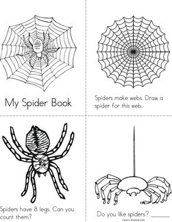 My Spider Book