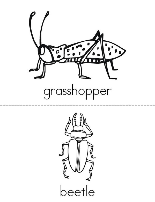 My Insect Mini Book - Sheet 1