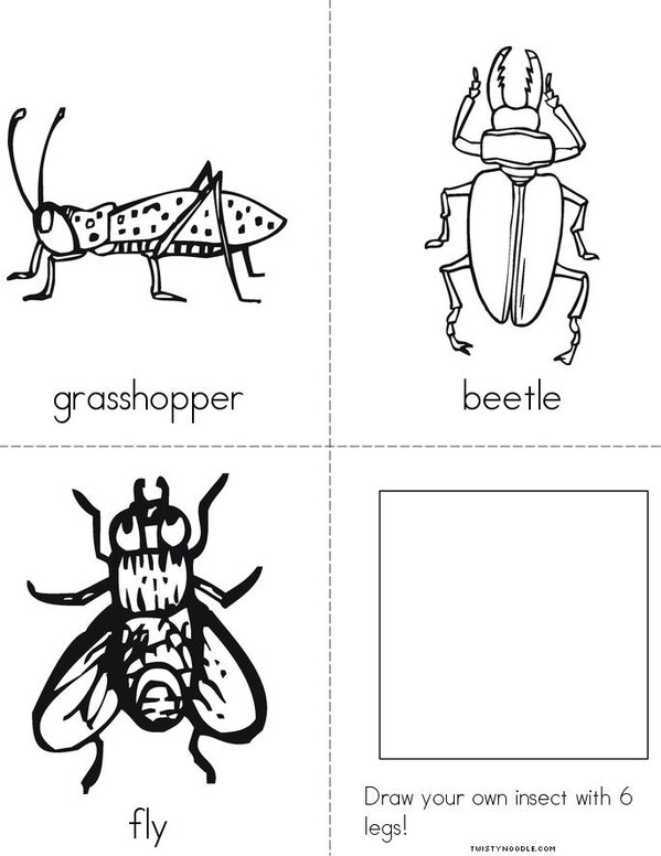 My Insect Book Twisty Noodle
