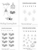 My Bug Counting Book