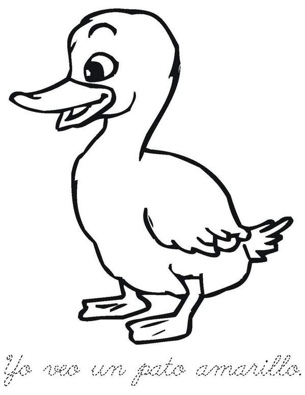 Yo veo una rana, yo veo un sapo Mini Book - Sheet 3