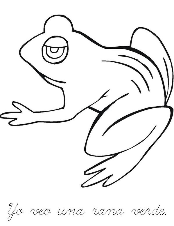 Yo veo una rana, yo veo un sapo Mini Book - Sheet 4