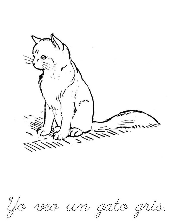 Yo veo una rana, yo veo un sapo Mini Book - Sheet 5