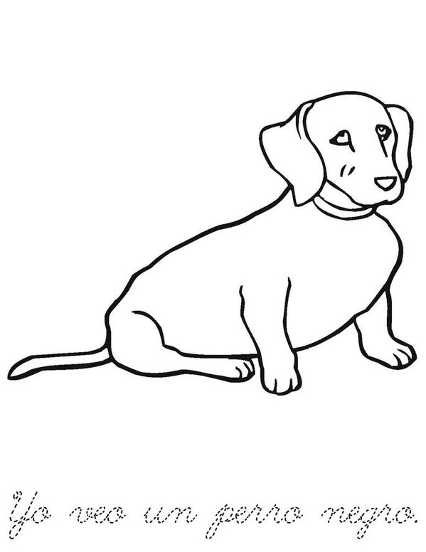 Yo veo una rana, yo veo un sapo Mini Book - Sheet 6