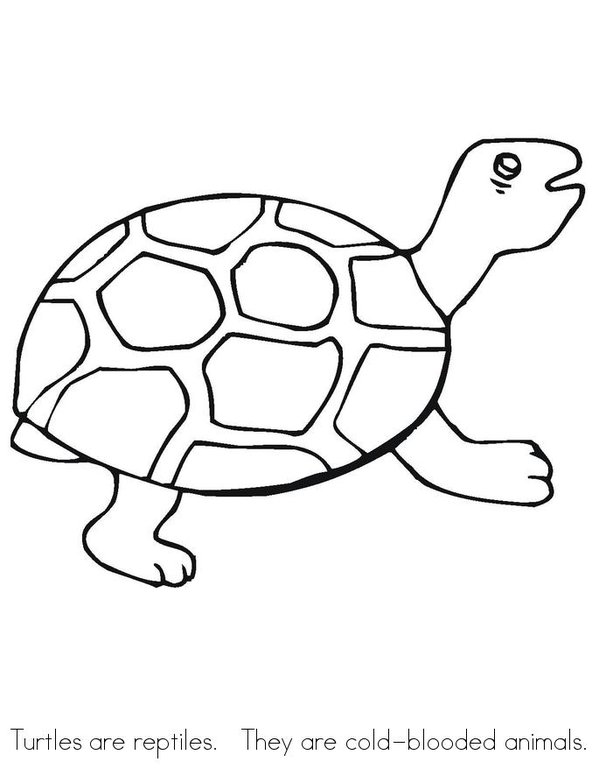 REPTILES Mini Book - Sheet 1