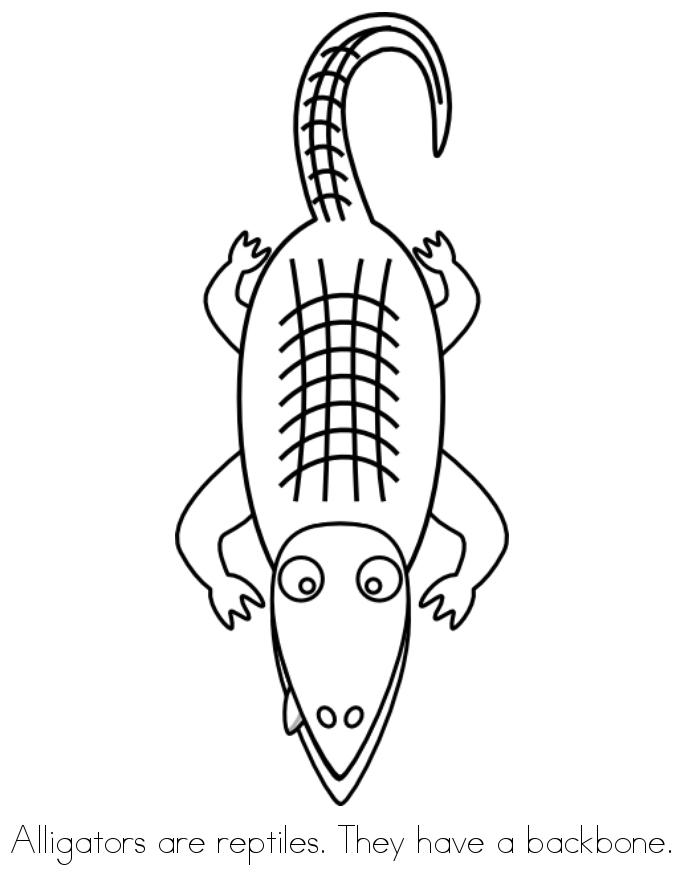 REPTILES Book - Twisty Noodle