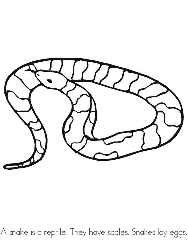 REPTILES Mini Book - Sheet 3
