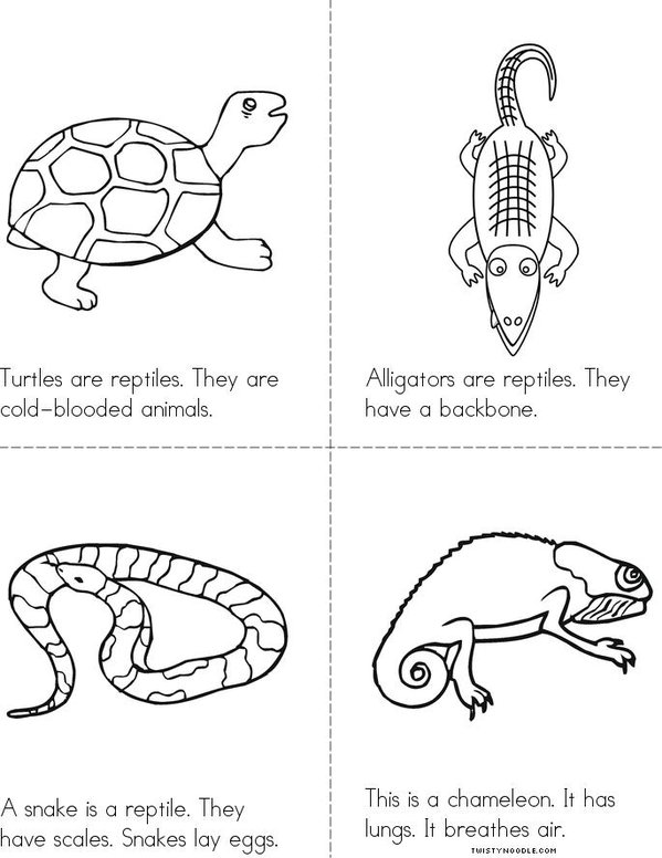 REPTILES Mini Book