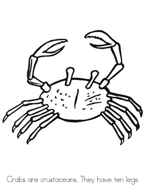 Arthropods Mini Book - Sheet 3