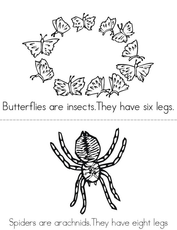 Arthropods Mini Book - Sheet 1