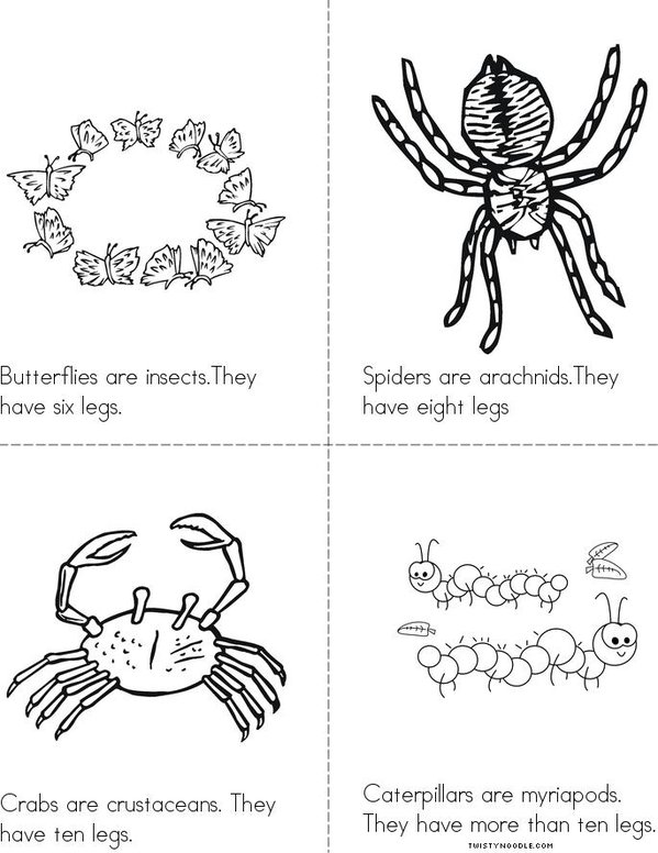 Arthropods Mini Book