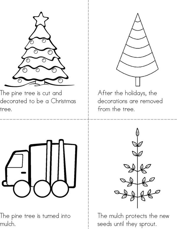 The Life Cycle of a Christmas Tree Mini Book - Sheet 2