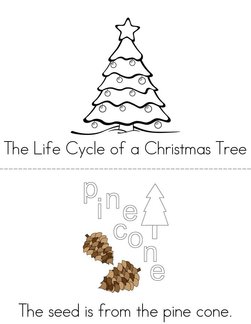 The Life Cycle of a Christmas Tree Book