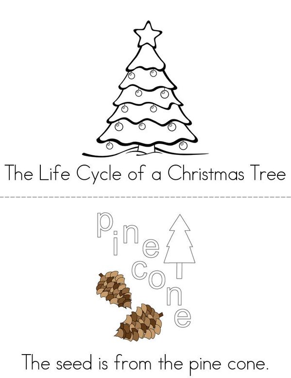 The Life Cycle of a Christmas Tree Mini Book - Sheet 1