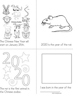 The Year of the Rat Book